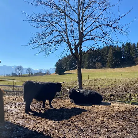 Berg & Seeblick I Sauna Im Badezimmer I Parkplatz