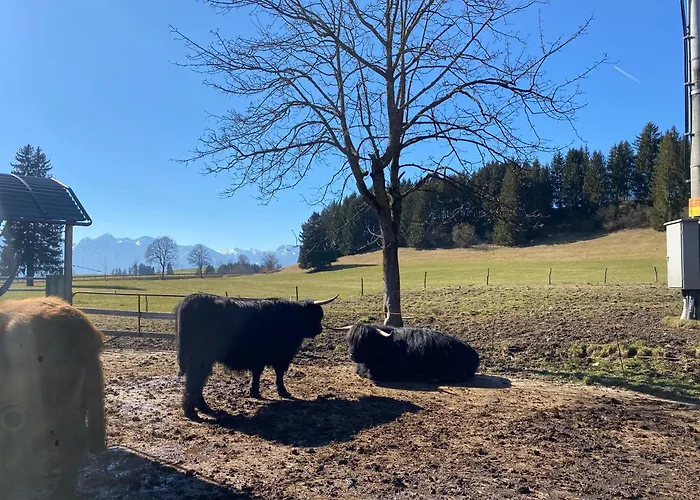 Berg I Sauna I Balkon I See-bergblick I Biohof